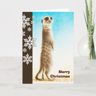 Meerkat Christmas Card