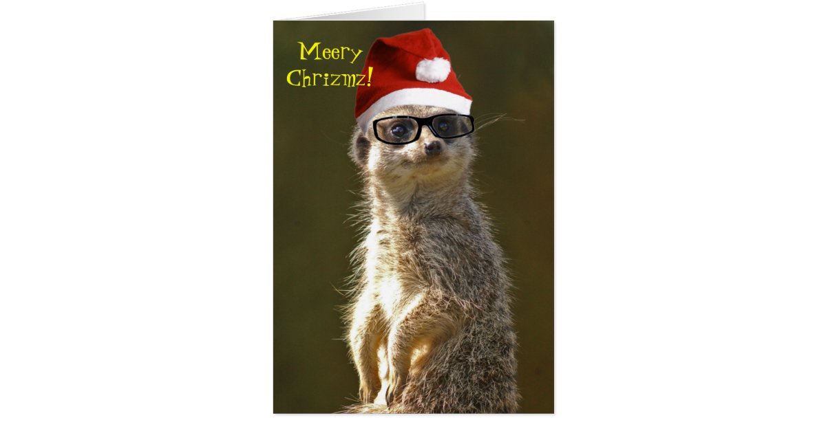 Meerkat Christmas Card | Zazzle.com