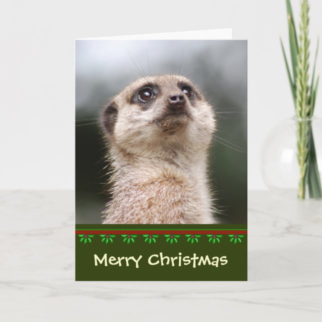 Meerkat Christmas Card (Front)