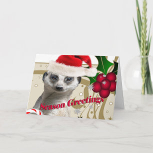 Meerkat Christmas Cards