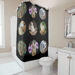 Meerkat Collage, Showers Curtain
