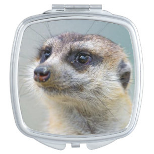 Meerkat Compact Mirror