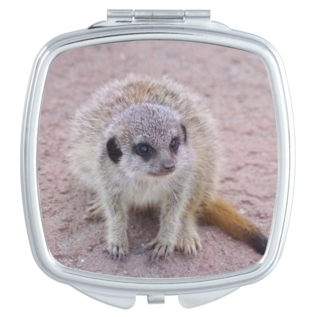 Meerkat Compact Mirror (Front)
