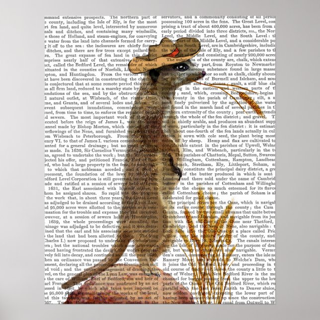 Meerkat Cowboy Poster (Front)