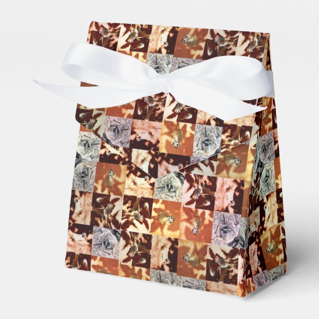 Meerkat Crossweave Pattern, Favor Boxes (Front Side)