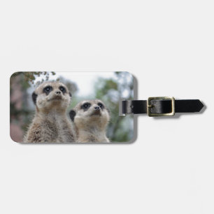 Meerkat - Dreamtem Luggage Tag