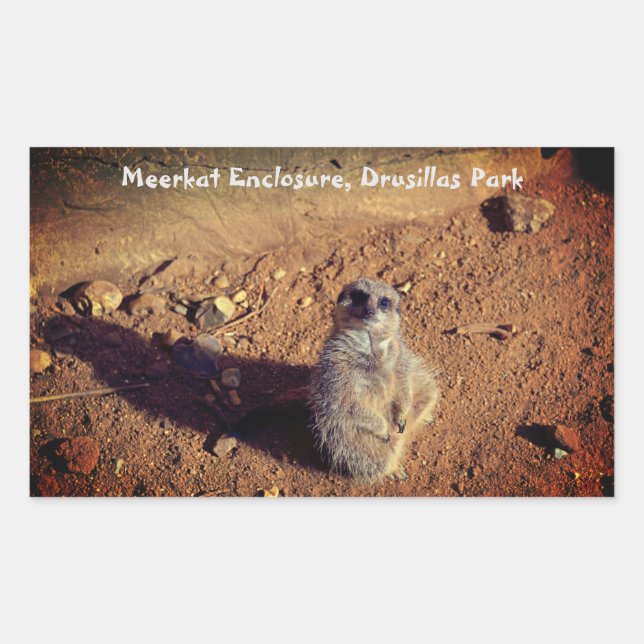 Meerkat Enclosure, Drusillas Park Sticker (Front)