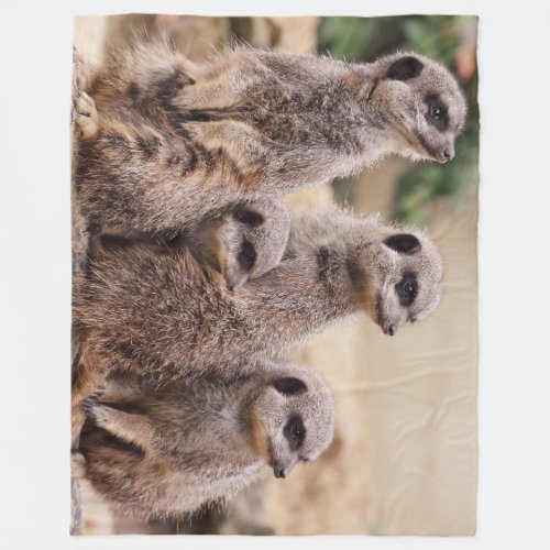 Meerkat family fleece blanket
