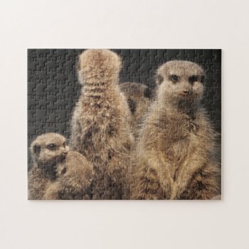 Meerkat Family Photo Jigsaw Puzzle by RiverJude at Zazzle