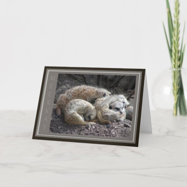 Meerkat Family Wildlife Thank You Card (Front)