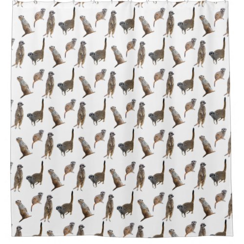 Meerkat Frenzy Shower Curtain choose colour