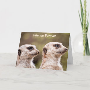 Meerkat Friends Forever Personalized Card