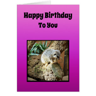 Meerkat Girls Birthday Theme, Cards