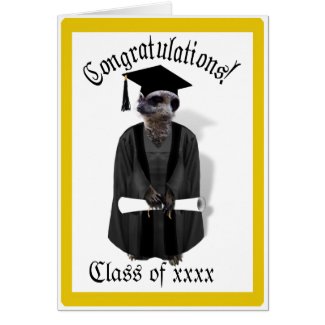 Meerkat Graduate W/Grey Gown & Black Sash Card