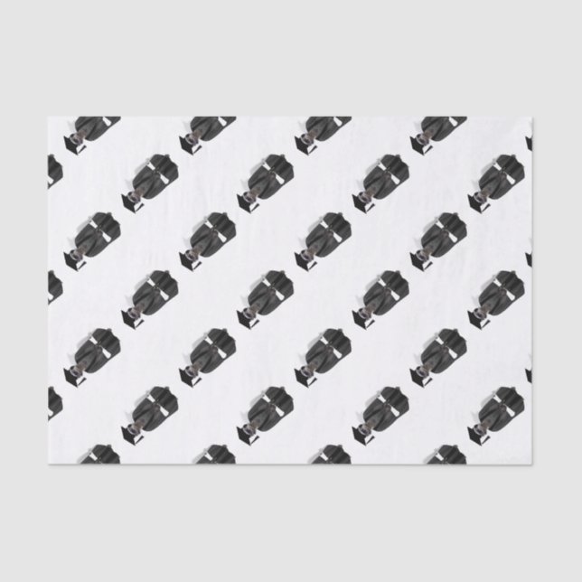 Meerkat Graduate W/Grey Gown & Black Sash Tissue Paper (Front)