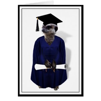 Meerkat Graduate (with Cap,Diploma & Blue Gown) Card