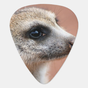 Meerkat Guitar Pick