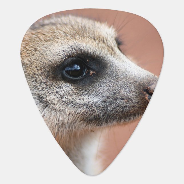 Meerkat Guitar Pick (Front)