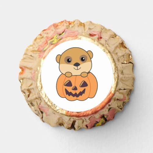 Meerkat In Pumpkin Cute Animals Happy Halloween Reeses Peanut Butter Cups