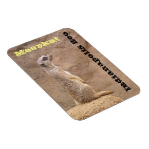 Meerkat Indianapolis Zoo Magnet