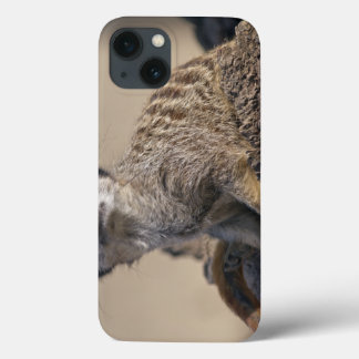 Meerkat iPad Case