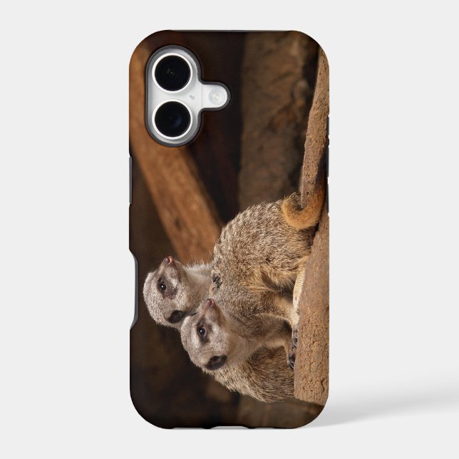 Meerkat iPhone 5 Case (Back)