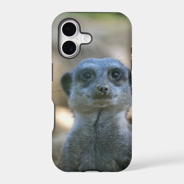 Meerkat Iphone Case (Back)