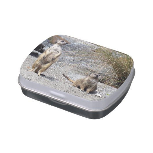 Meerkat - Jelly Bean Candy Tin (Side)