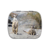 Meerkat - Jelly Bean Candy Tin (Top)