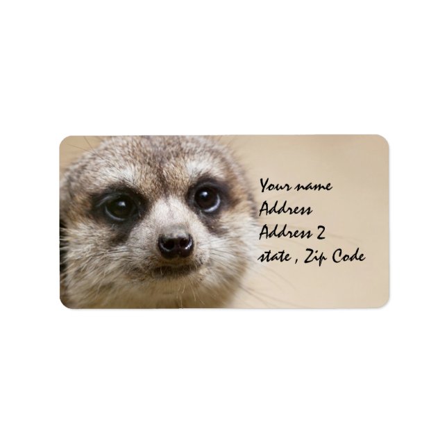 Meerkat Label (Front)