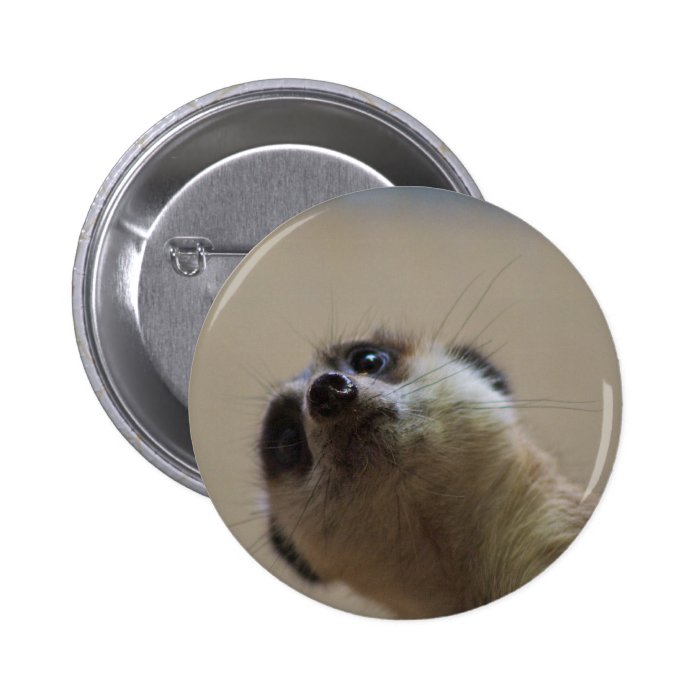 Meerkat Looking Dramatic Pinback Buttons