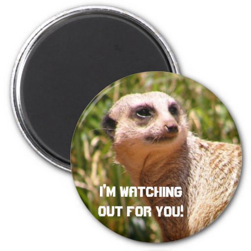 Meerkat lookout magnet