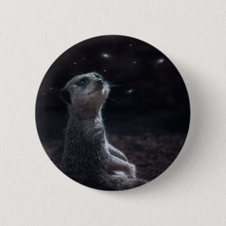 Meerkat magic button