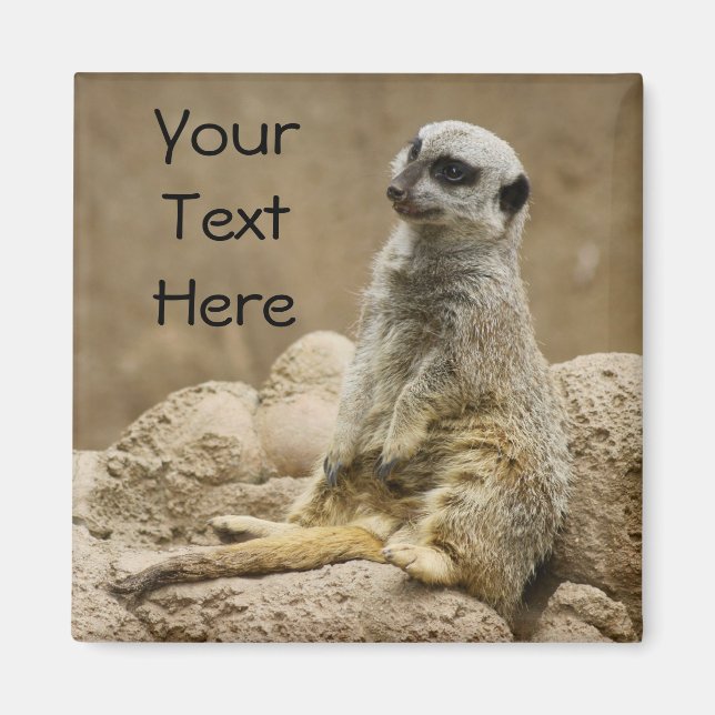Meerkat Magnet (Front)