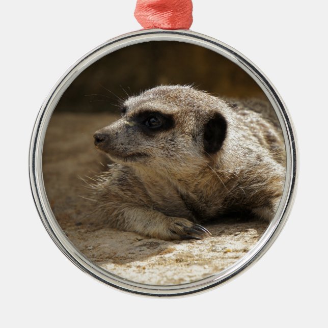 Meerkat Metal Ornament (Front)