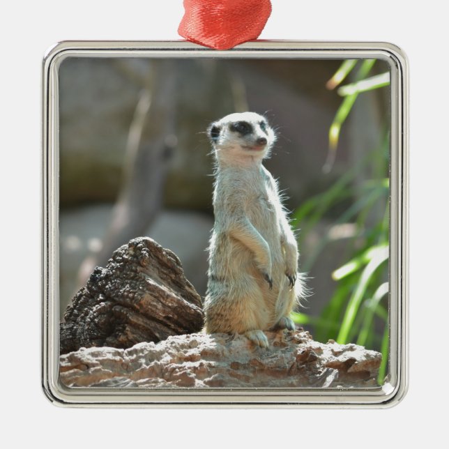 Meerkat Metal Ornament (Front)