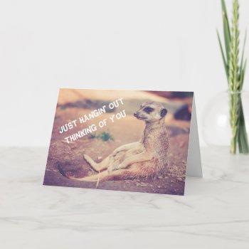 Meerkat Missing You Greeting Card by GrannysPlace at Zazzle