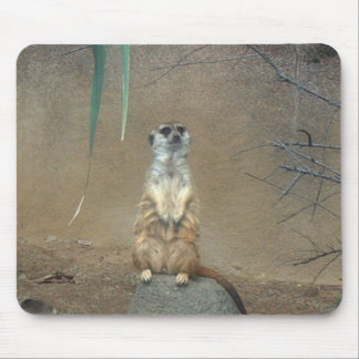 Meerkat Mouse Pad