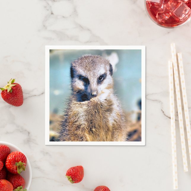 MEERKAT NAPKINS (Insitu)
