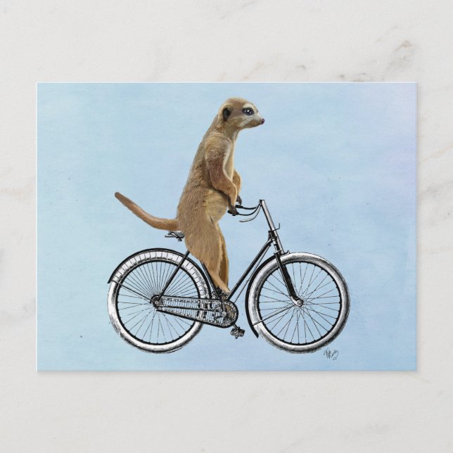 Meerkat on Bicycle 2 Postcard (Front)