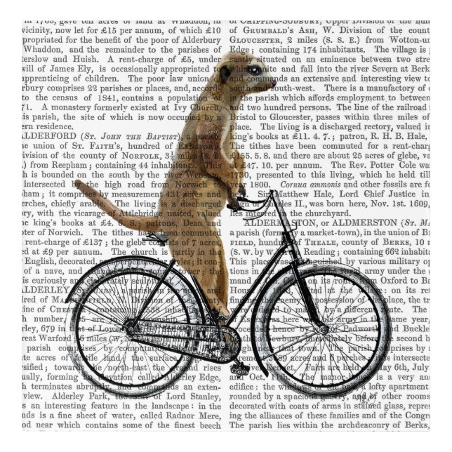 Meerkat on Bicycle Acrylic Print (Front)