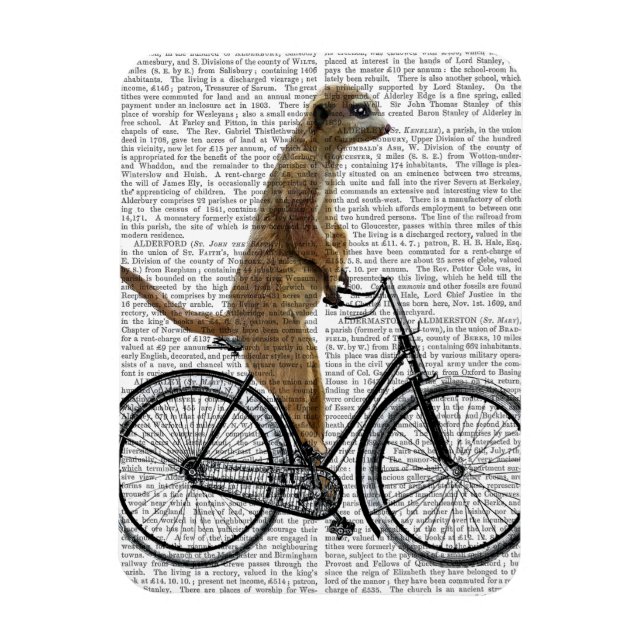 Meerkat on Bicycle Magnet (Vertical)