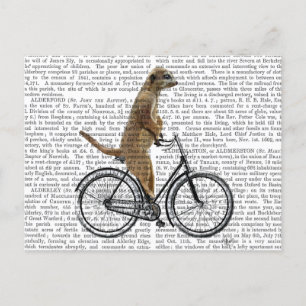 Meerkat on Bicycle Postcard