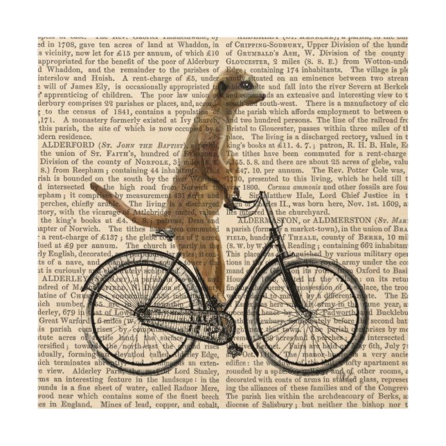 Meerkat on Bicycle Wood Wall Decor (Front)