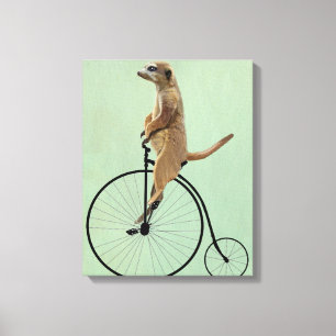 Meerkat on Black Penny Farthing Canvas Print
