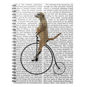 Meerkat on Black Penny Farthing Notebook