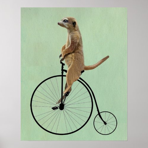 Meerkat on Black Penny Farthing Poster