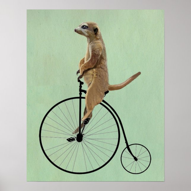 Meerkat on Black Penny Farthing Poster (Front)