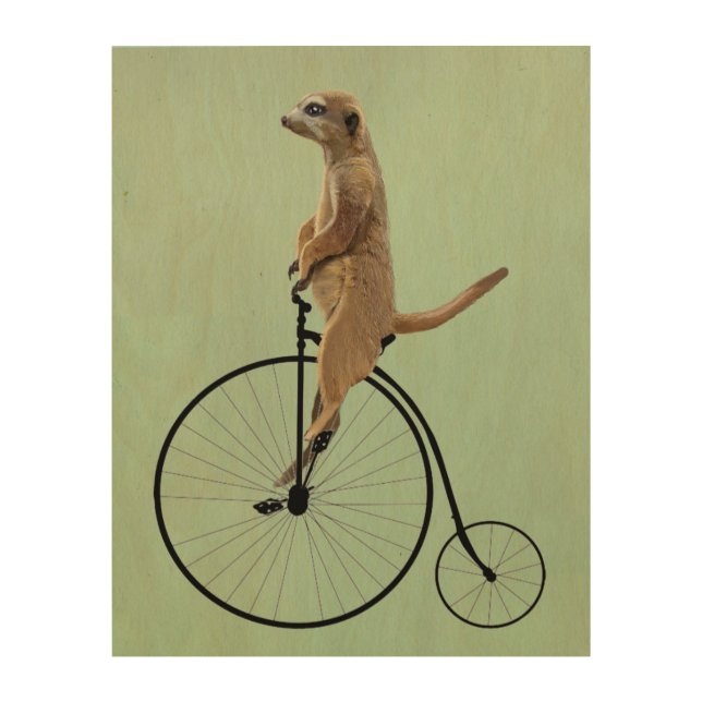 Meerkat on Black Penny Farthing Wood Wall Art (Front)