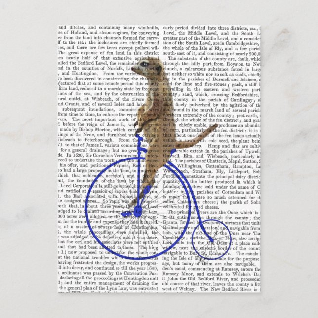 Meerkat On Blue Penny Farthing Postcard (Front)